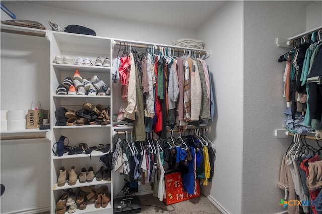 2520 Heartland Ave, Copperas Cove, TX 76522 - spacious closet with carpet