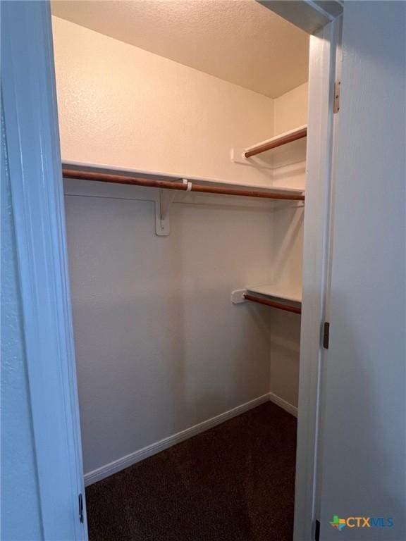 1402 Chips Dr, Killeen, TX 76549 - spacious closet with dark carpet