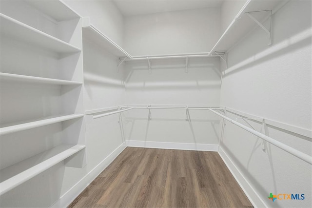 spacious closet featuring wood-type flooring