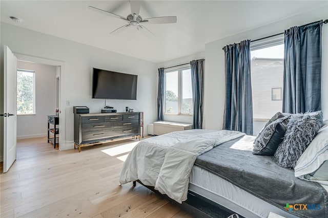 1905 Dutton Dr Unit A, San Marcos, TX 78666 - bedroom featuring multiple windows, light wood finished floors, baseboards, and a ceiling fan