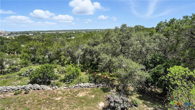 875 Rosemary Dr, New Braunfels, TX 78130 - photo 12