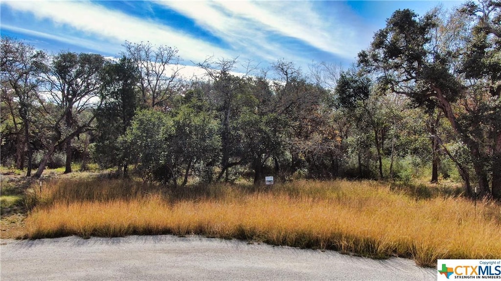 201 Post Oak Rd, Inez, TX 77968