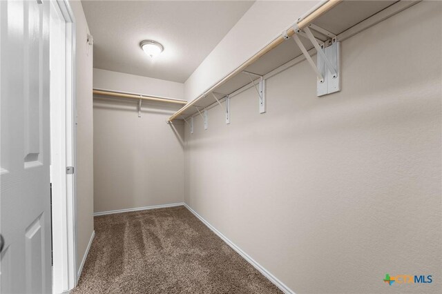 222 Highmore Ct, Temple, TX 76502 - photo 18