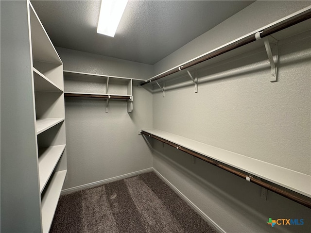 spacious closet featuring dark colored carpet