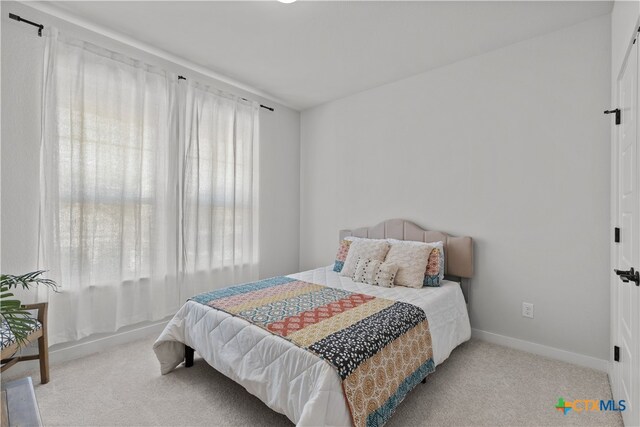 bedroom with multiple windows and light carpet