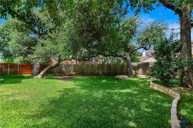 1108 Celtic Cv, Round Rock, TX 78681 - view of fenced backyard