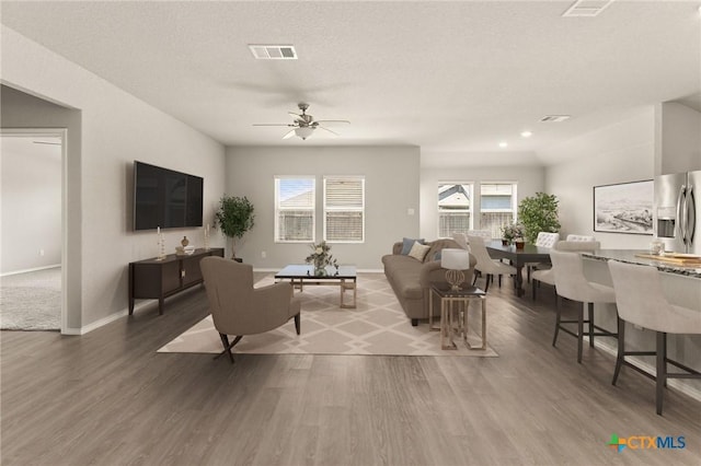 419 Agave Flats Dr, New Braunfels, TX 78130 - living area featuring wood finished floors and a ceiling fan