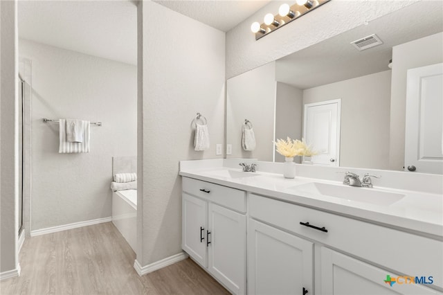 419 Agave Flats Dr, New Braunfels, TX 78130 - full bath featuring wood finished floors, double vanity, a bath, and a shower stall