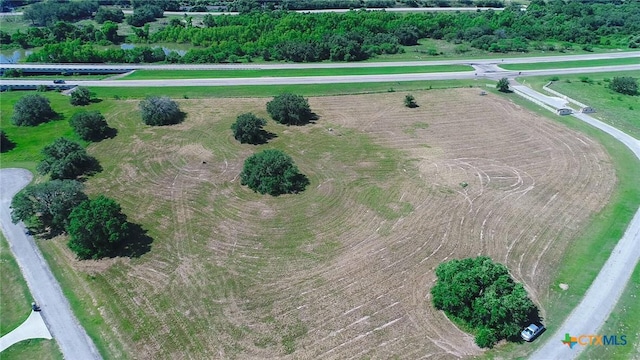 LOT46 Perdido Pointe Ests, Victoria, TX 77905 - photo 6