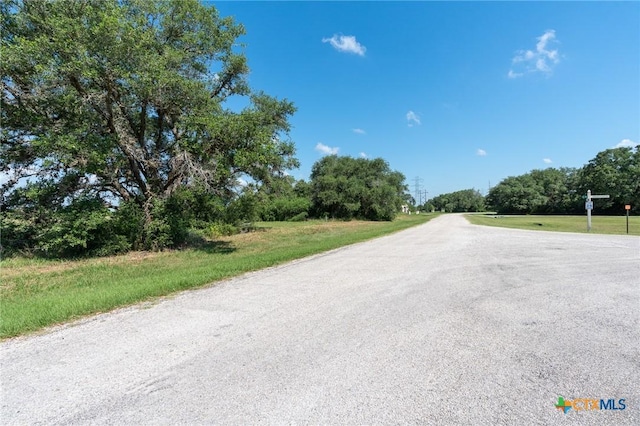 LOT46 Perdido Pointe Ests, Victoria, TX 77905 - photo 5