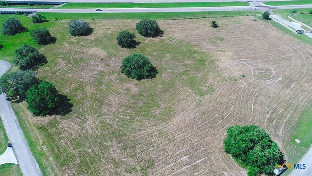 LOT46 Perdido Pointe Ests, Victoria, TX 77905 - photo 4