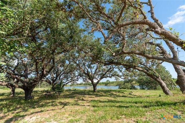 LOT46 Perdido Pointe Ests, Victoria, TX 77905 - photo 13