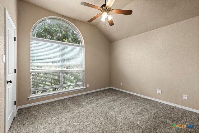 1722 Shadow Canyon Dr, Temple, TX 76502 - empty room with plenty of natural light, lofted ceiling, carpet, and ceiling fan