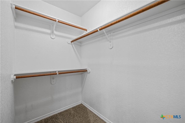 1722 Shadow Canyon Dr, Temple, TX 76502 - walk in closet featuring carpet flooring