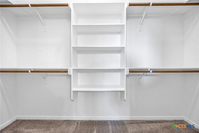 1041 Lakeway Crossing Dr, Temple, TX 76502 - spacious closet with carpet