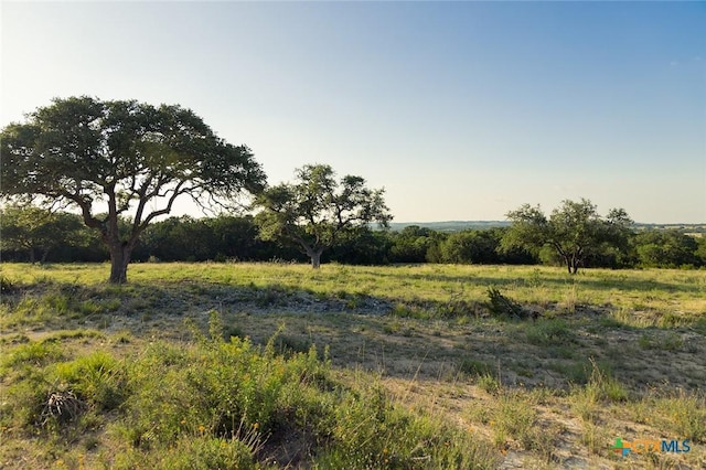 938 Lindeman Ln, Blanco, TX 78606 - photo 9