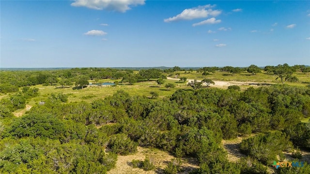 938 Lindeman Ln, Blanco, TX 78606 - photo 13