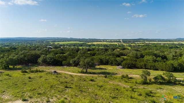 938 Lindeman Ln, Blanco, TX 78606 - photo 12