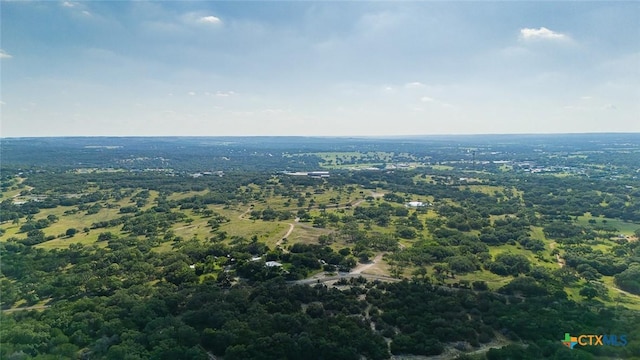 938 Lindeman Ln, Blanco, TX 78606 - photo 15
