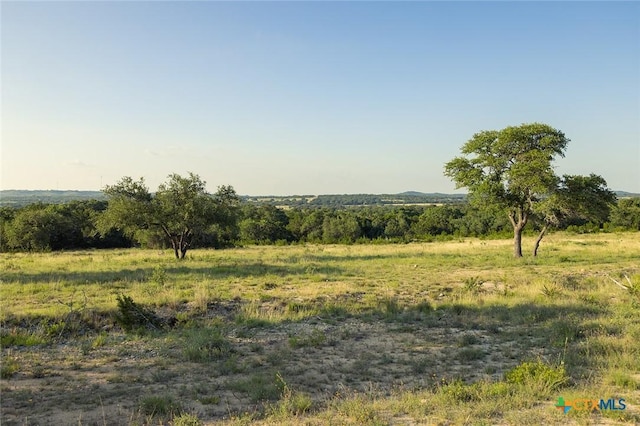 938 Lindeman Ln, Blanco, TX 78606 - photo 10