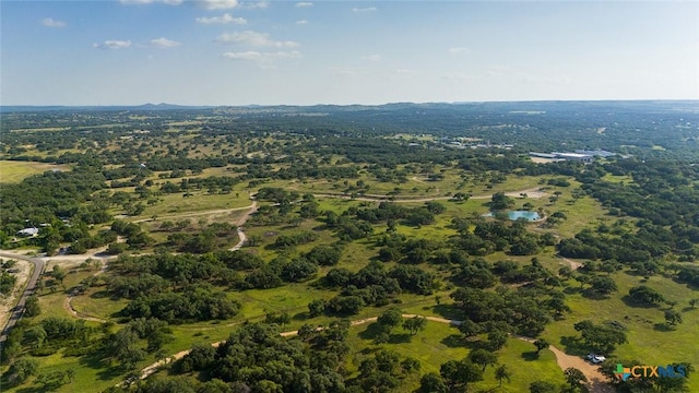 938 Lindeman Ln, Blanco, TX 78606 - photo 14