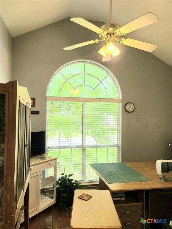 3909 Hopi Trl, Temple, TX 76504 - office space featuring vaulted ceiling, a ceiling fan, and dark wood-type flooring