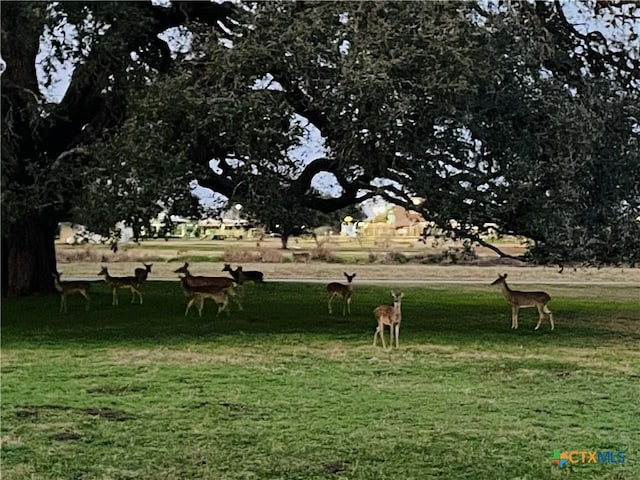 view of home's community featuring a yard