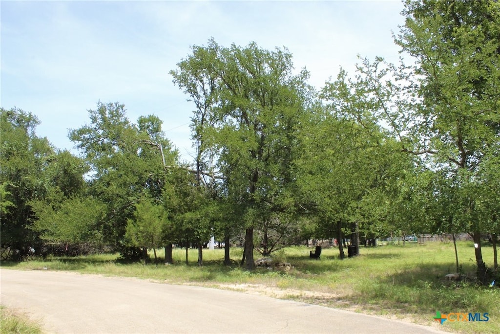 10 Hackberry Ct, Belton, TX 76513 - photo 1