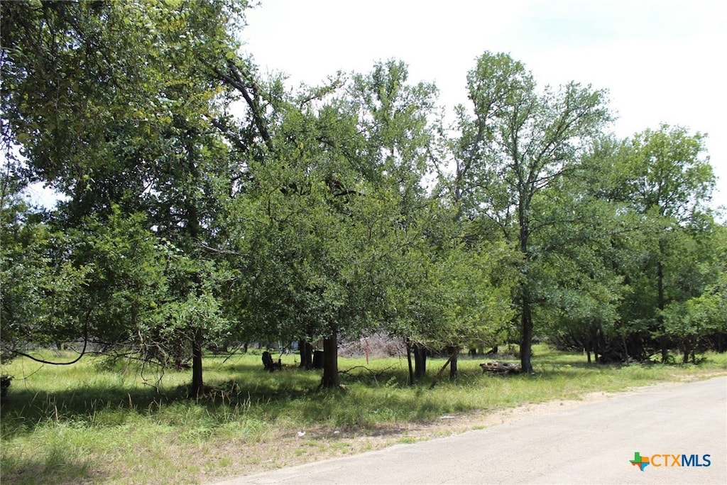 10 Hackberry Ct, Belton, TX 76513 - photo 3