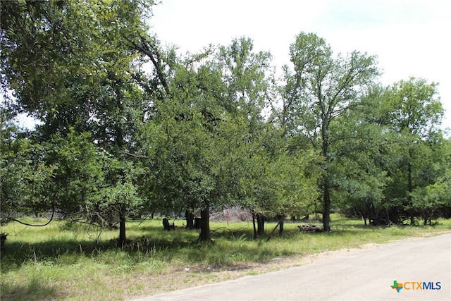 10 Hackberry Ct, Belton, TX 76513 - photo 3