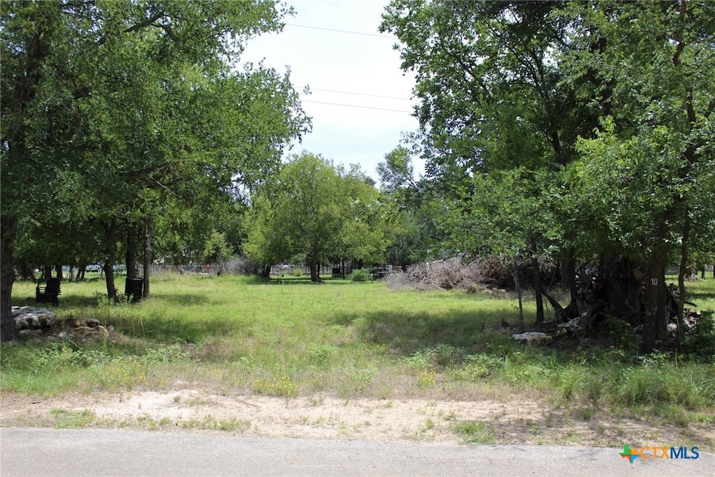 10 Hackberry Ct, Belton, TX 76513 - photo 2