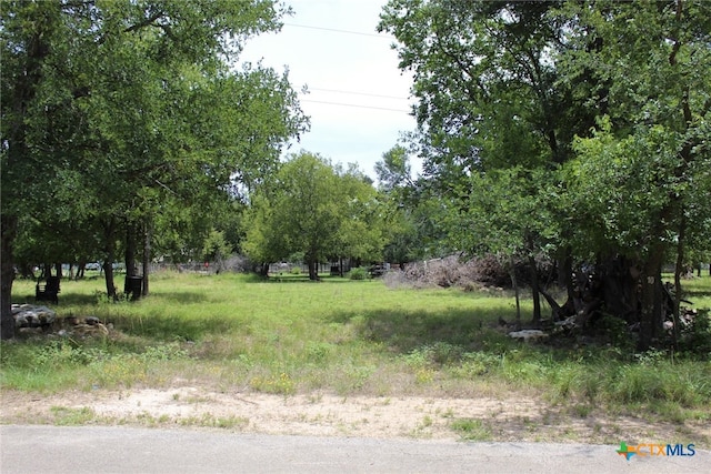 10 Hackberry Ct, Belton, TX 76513 - photo 2