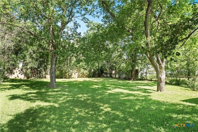 1404 N Beal St, Belton, TX 76513 - view of yard