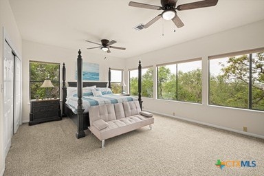 25420 Cove Dr, Spicewood, TX 78669 - bedroom with a ceiling fan, light carpet, and multiple windows