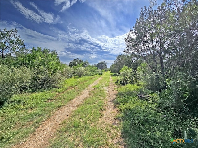 584 Coyote Run, New Braunfels, TX 78132 - photo 7