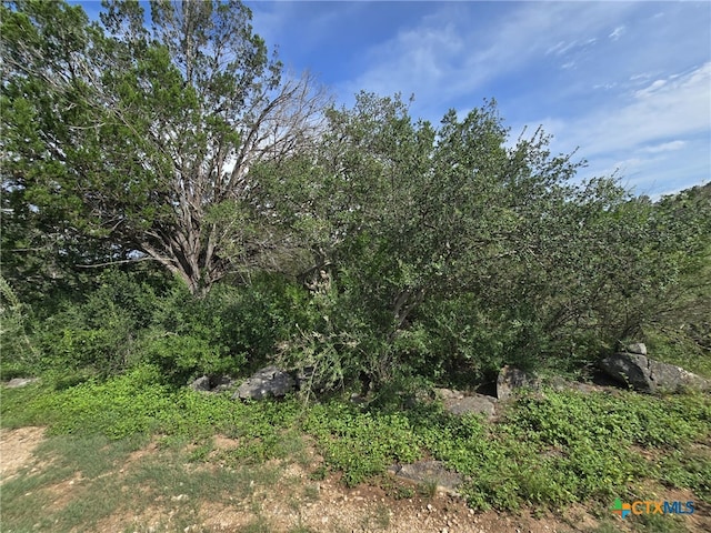 584 Coyote Run, New Braunfels, TX 78132 - photo 6