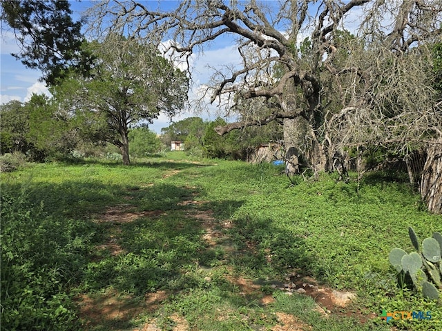 584 Coyote Run, New Braunfels, TX 78132 - photo 10