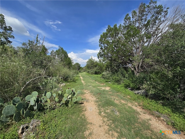 584 Coyote Run, New Braunfels, TX 78132 - photo 4