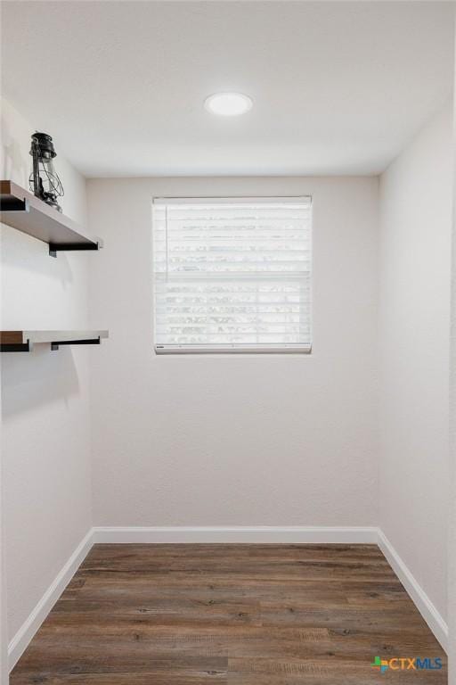 walk in closet featuring dark wood-style floors