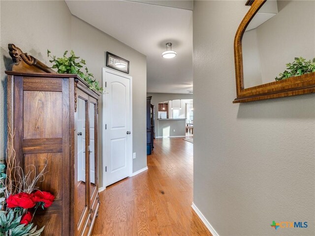 6097 Heron Dr, Buda, TX 78610 - photo 6