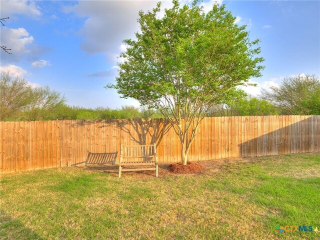 6097 Heron Dr, Buda, TX 78610 - photo 36