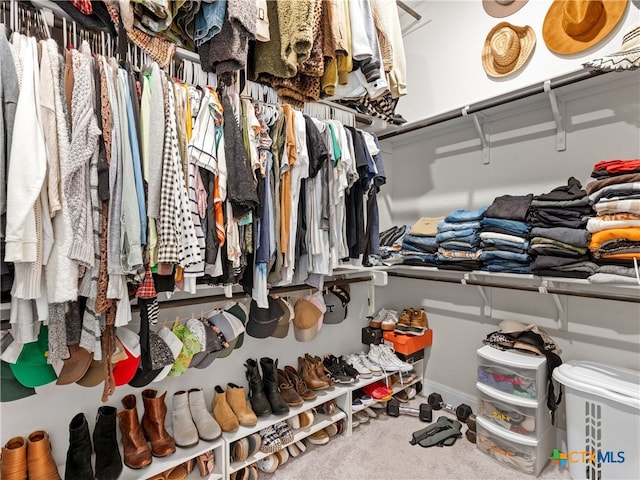 4508 River Rock Rd, Marion, TX 78124 - walk in closet with carpet