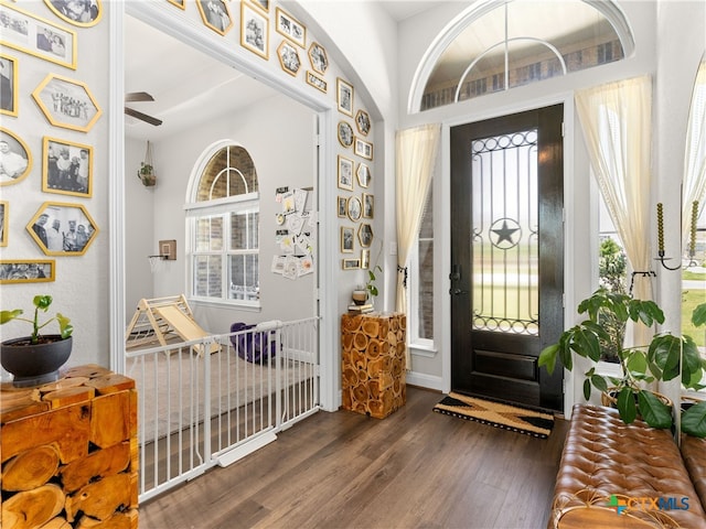4508 River Rock Rd, Marion, TX 78124 - entrance foyer with wood finished floors and ceiling fan