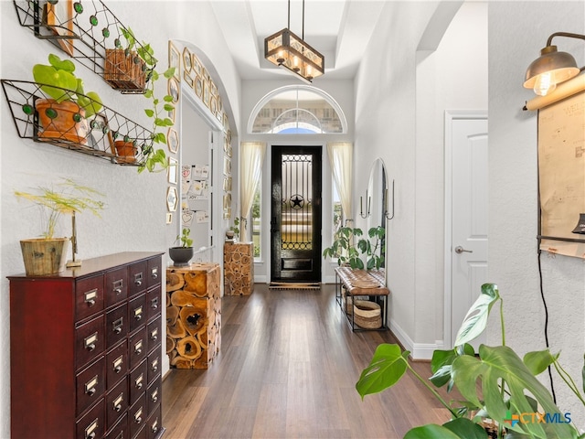 4508 River Rock Rd, Marion, TX 78124 - entrance foyer featuring dark wood-style floors, baseboards, a chandelier, and a high ceiling