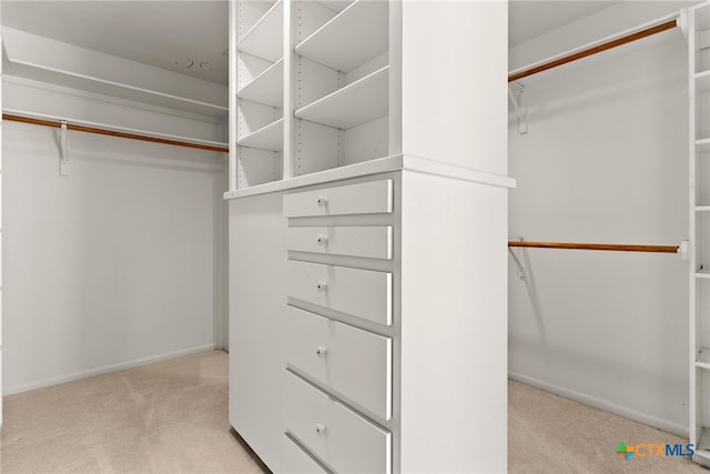 spacious closet featuring light colored carpet