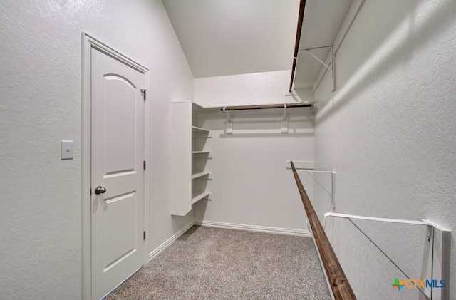 spacious closet with light colored carpet