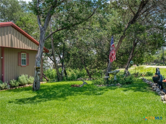 4386 Morningside Way, Canyon Lake, TX 78133 - view of grassy yard