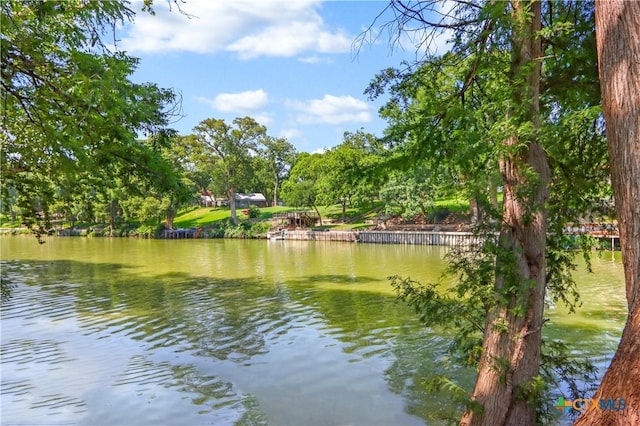 326 Riverview Rd, Mcqueeney, TX 78123 - water view