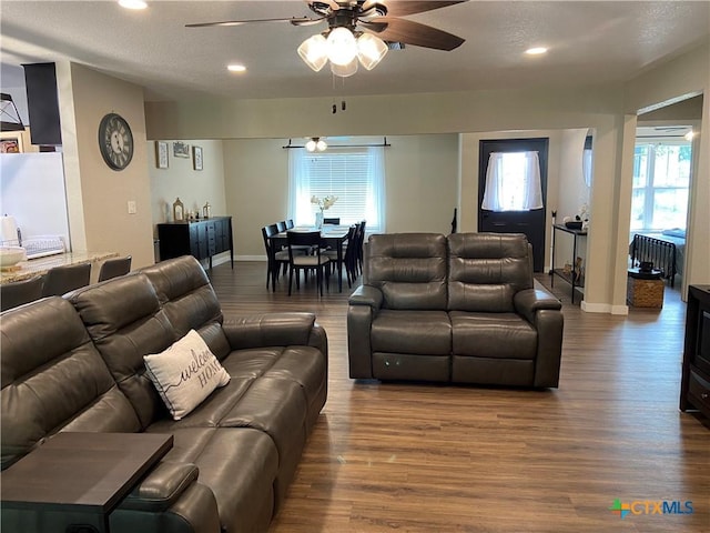 326 Riverview Rd, Mcqueeney, TX 78123 - living room with wood finished floors, a ceiling fan, recessed lighting, radiator, and baseboards