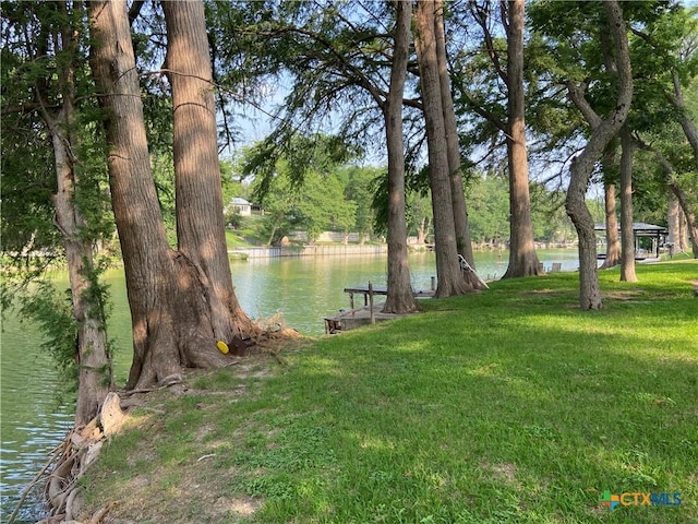 326 Riverview Rd, Mcqueeney, TX 78123 - water view